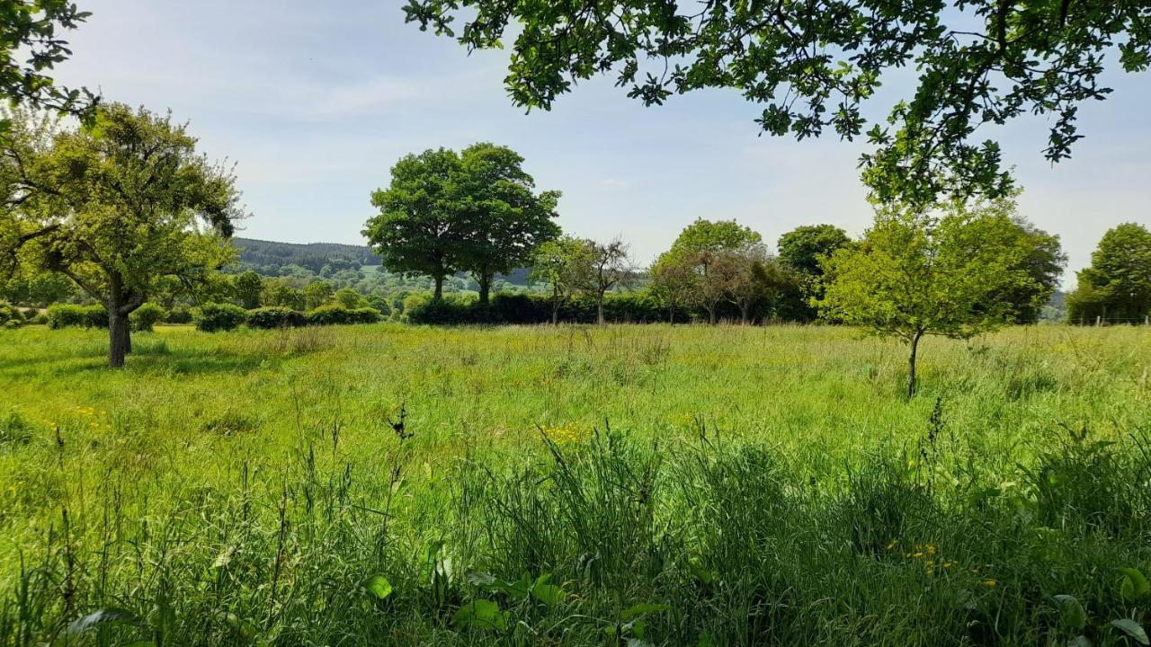 Gite Cottage Chaleureux En Pleine Campagne Vue Sur Les Monts Et Forets Et Le Chateau De Carrouges Exterior foto